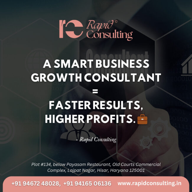 Business Growth Consultant